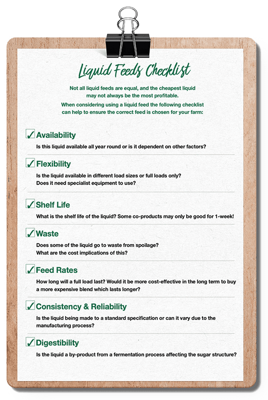 ED_F-Man-Xmas-Newsletter(25)_v16-3