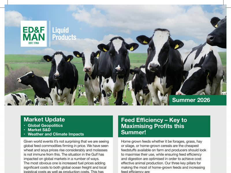Dairy cows in a green field under a blue sky with the ED&F MAN logo in the top left and a Summer 2026 label on the right; two green information panels below titled Market Update and Feed Efficiency – Key to Maximising Profits this Summer!